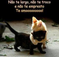 /album/amo-te-muito-princesa/img-88421220163939-jpeg/